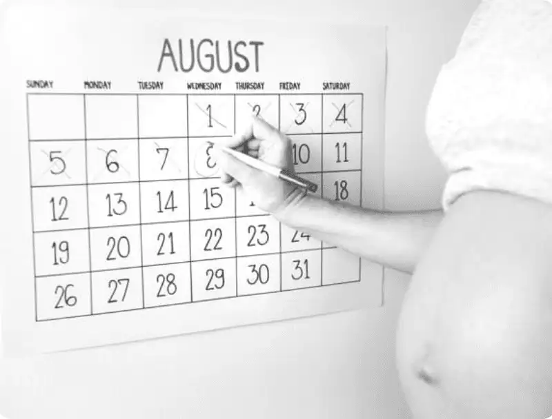 Making appointments and arranging travel plans